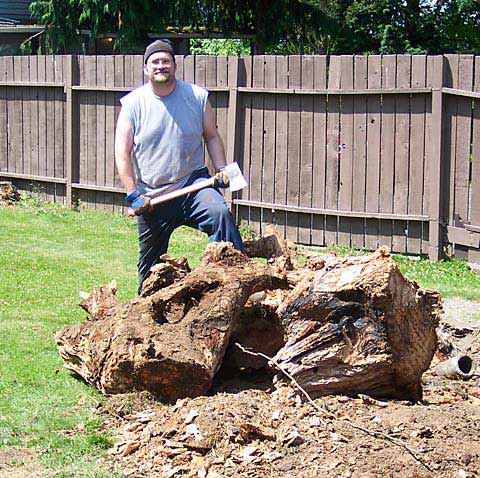 picture of the stump, mikey stands victorious over stump pieces